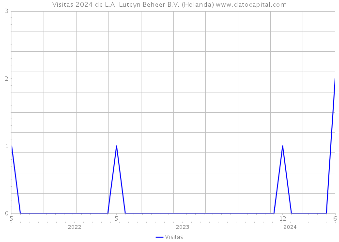 Visitas 2024 de L.A. Luteyn Beheer B.V. (Holanda) 