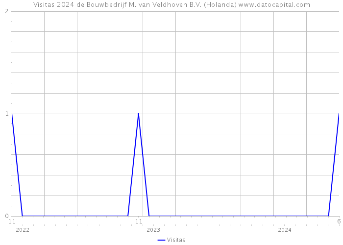 Visitas 2024 de Bouwbedrijf M. van Veldhoven B.V. (Holanda) 