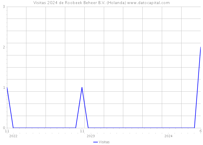 Visitas 2024 de Roobeek Beheer B.V. (Holanda) 