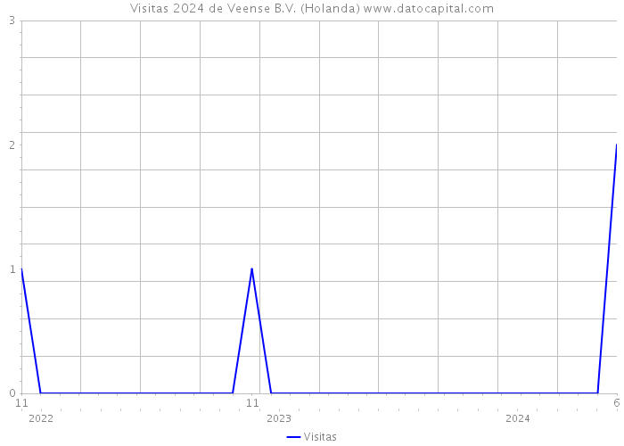 Visitas 2024 de Veense B.V. (Holanda) 