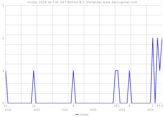 Visitas 2024 de F.M. SAT Beheer B.V. (Holanda) 