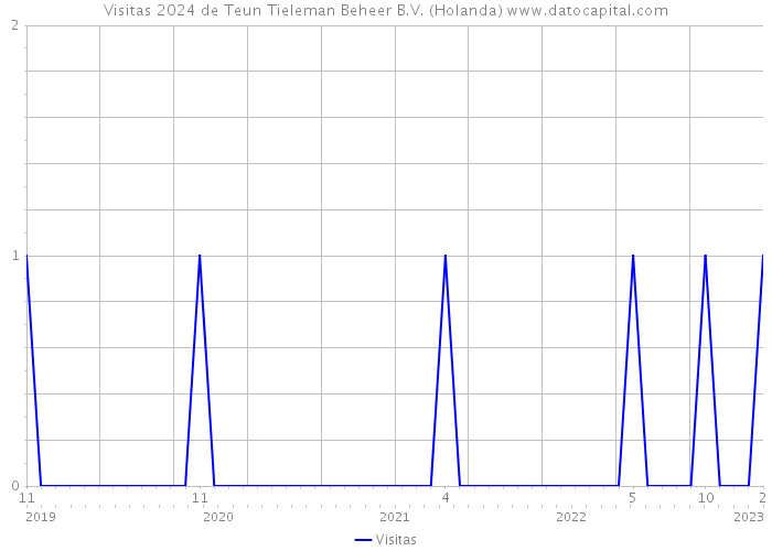 Visitas 2024 de Teun Tieleman Beheer B.V. (Holanda) 