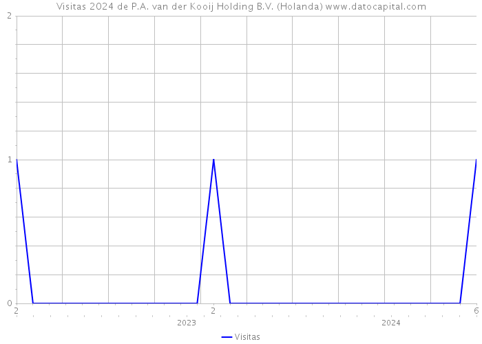 Visitas 2024 de P.A. van der Kooij Holding B.V. (Holanda) 