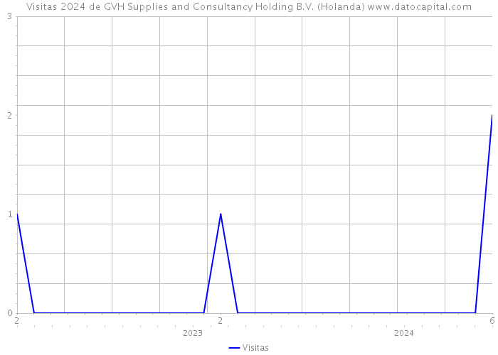 Visitas 2024 de GVH Supplies and Consultancy Holding B.V. (Holanda) 