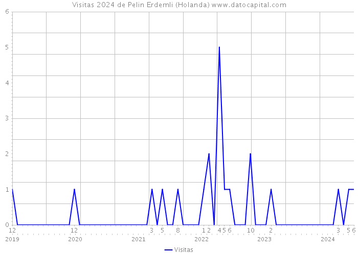 Visitas 2024 de Pelin Erdemli (Holanda) 