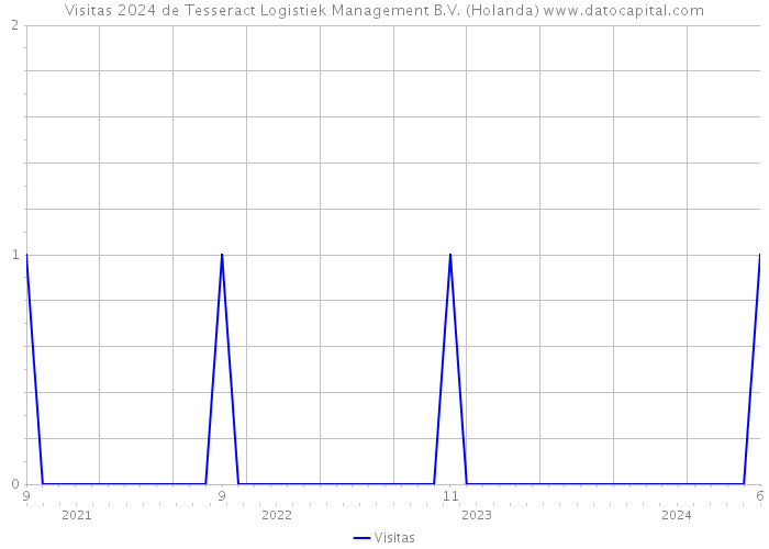 Visitas 2024 de Tesseract Logistiek Management B.V. (Holanda) 