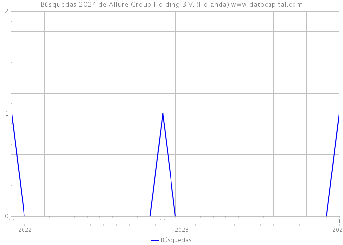 Búsquedas 2024 de Allure Group Holding B.V. (Holanda) 