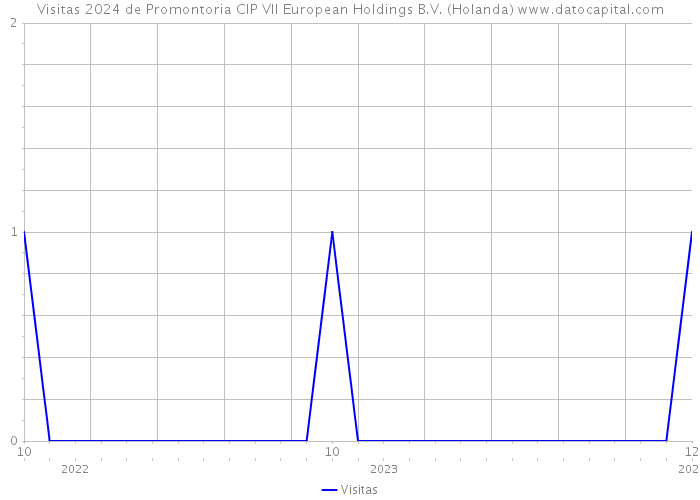 Visitas 2024 de Promontoria CIP VII European Holdings B.V. (Holanda) 