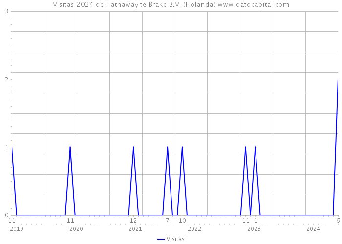 Visitas 2024 de Hathaway te Brake B.V. (Holanda) 