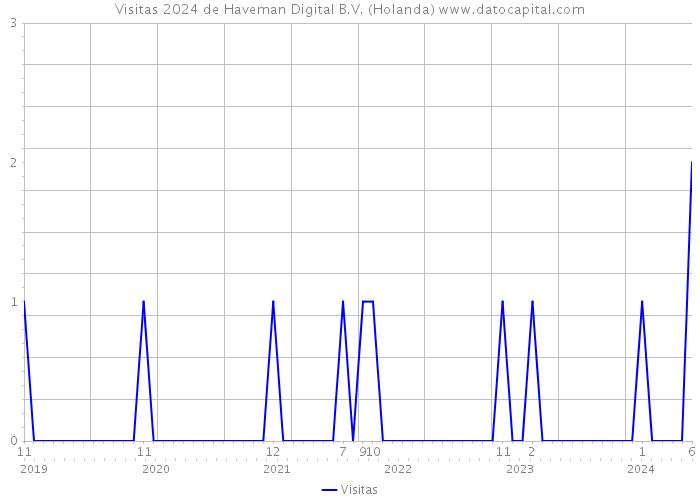 Visitas 2024 de Haveman Digital B.V. (Holanda) 