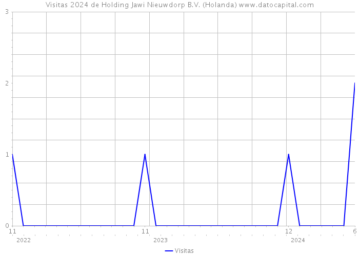 Visitas 2024 de Holding Jawi Nieuwdorp B.V. (Holanda) 