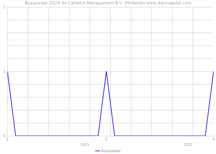 Búsquedas 2024 de Camelot Management B.V. (Holanda) 