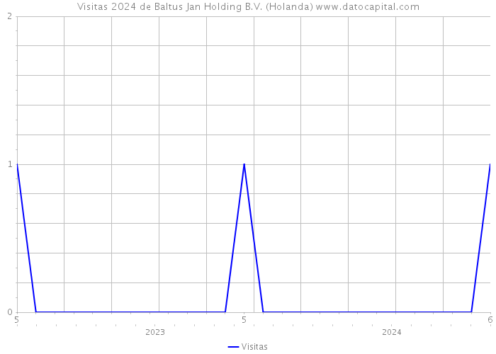 Visitas 2024 de Baltus Jan Holding B.V. (Holanda) 