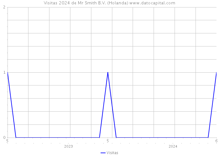 Visitas 2024 de Mr Smith B.V. (Holanda) 