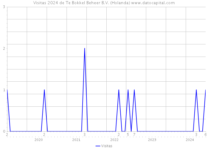 Visitas 2024 de Te Bokkel Beheer B.V. (Holanda) 