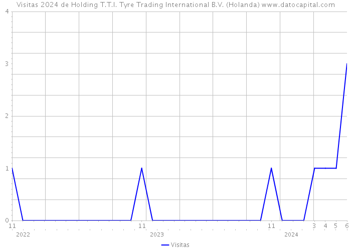 Visitas 2024 de Holding T.T.I. Tyre Trading International B.V. (Holanda) 