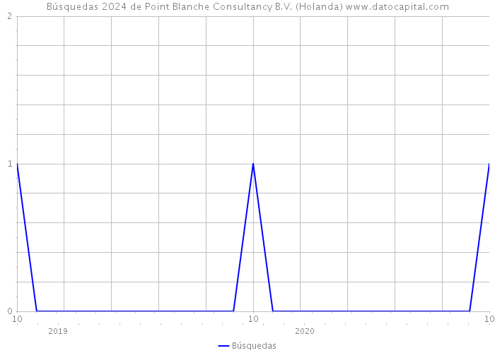 Búsquedas 2024 de Point Blanche Consultancy B.V. (Holanda) 