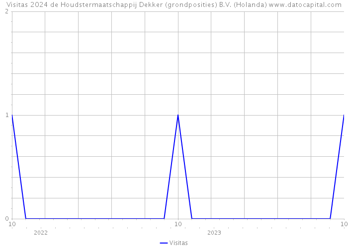 Visitas 2024 de Houdstermaatschappij Dekker (grondposities) B.V. (Holanda) 