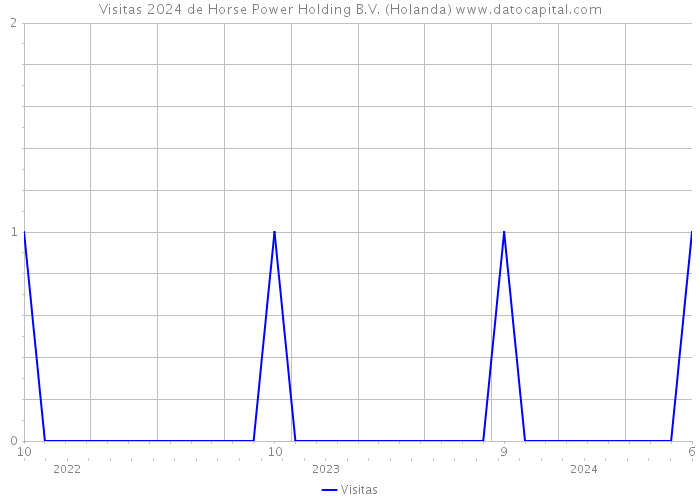 Visitas 2024 de Horse Power Holding B.V. (Holanda) 