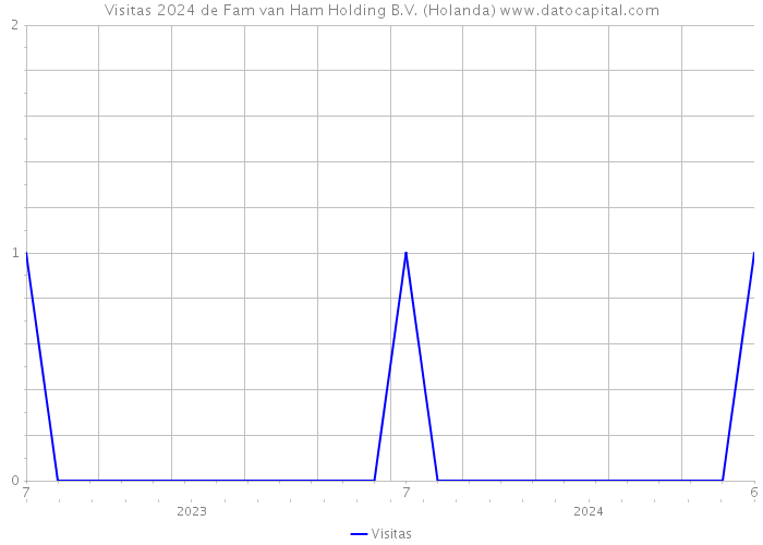 Visitas 2024 de Fam van Ham Holding B.V. (Holanda) 