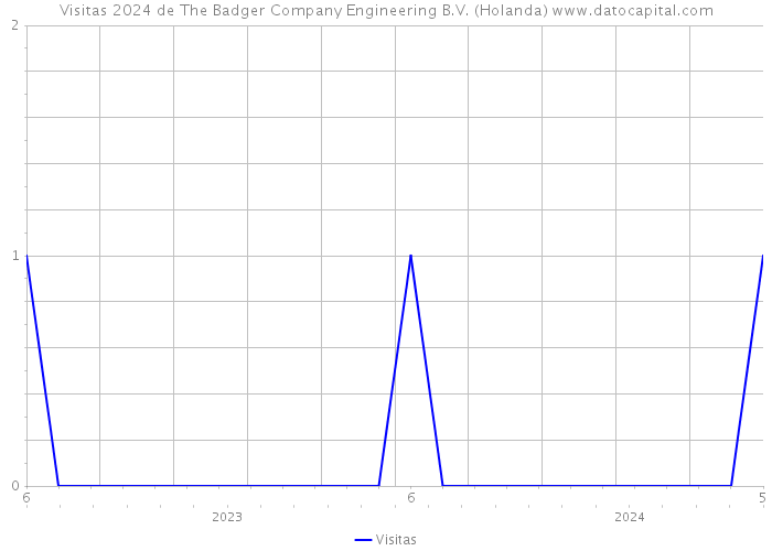 Visitas 2024 de The Badger Company Engineering B.V. (Holanda) 