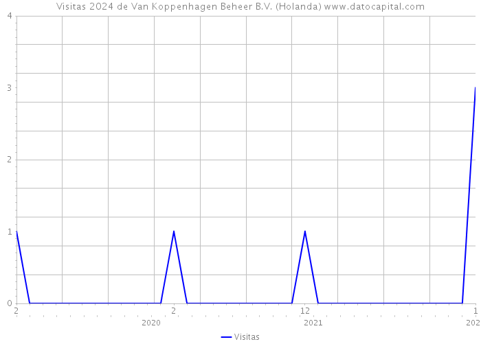 Visitas 2024 de Van Koppenhagen Beheer B.V. (Holanda) 