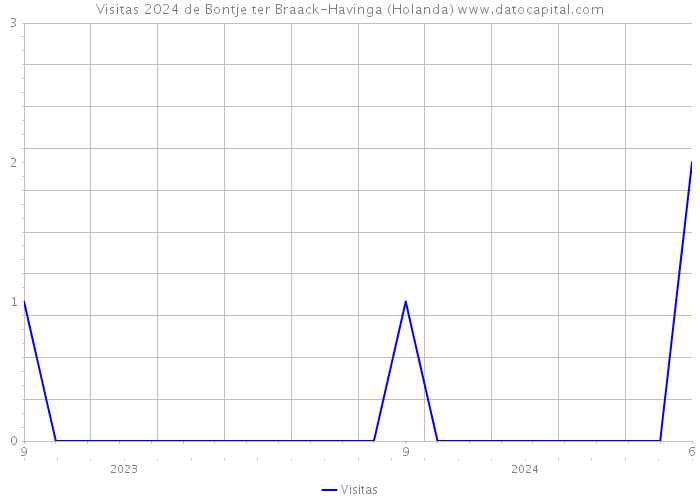 Visitas 2024 de Bontje ter Braack-Havinga (Holanda) 