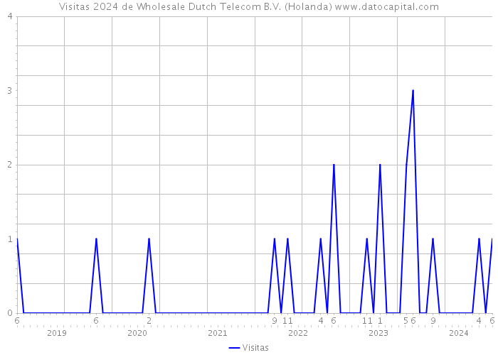 Visitas 2024 de Wholesale Dutch Telecom B.V. (Holanda) 