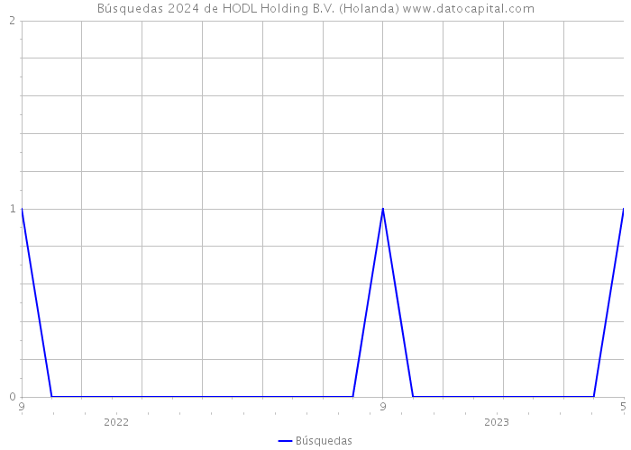 Búsquedas 2024 de HODL Holding B.V. (Holanda) 