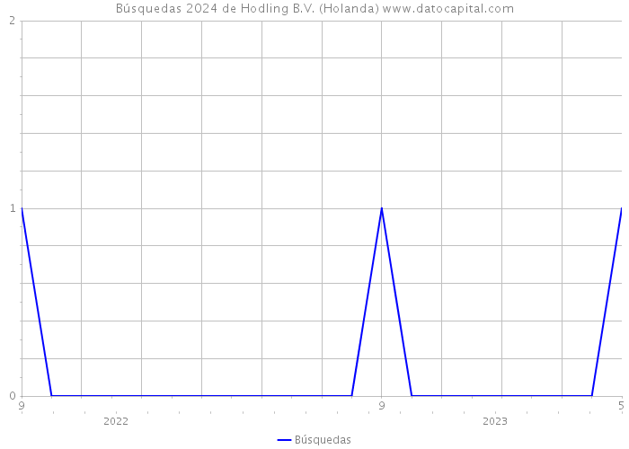 Búsquedas 2024 de Hodling B.V. (Holanda) 