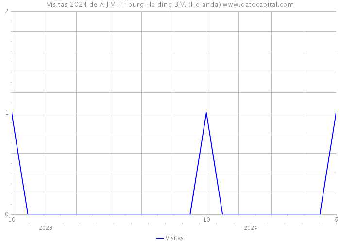 Visitas 2024 de A.J.M. Tilburg Holding B.V. (Holanda) 