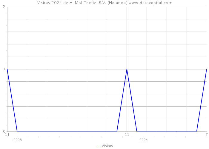 Visitas 2024 de H. Mol Textiel B.V. (Holanda) 