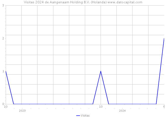 Visitas 2024 de Aangenaam Holding B.V. (Holanda) 