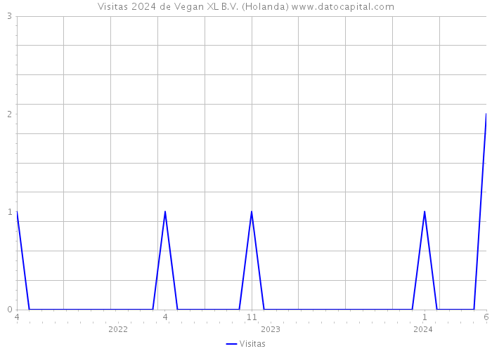 Visitas 2024 de Vegan XL B.V. (Holanda) 