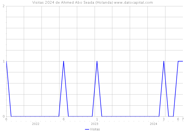 Visitas 2024 de Ahmed Abo Seada (Holanda) 