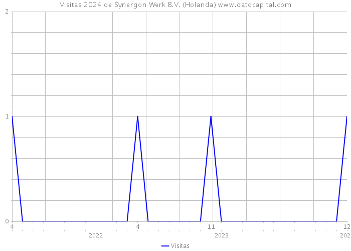 Visitas 2024 de Synergon Werk B.V. (Holanda) 