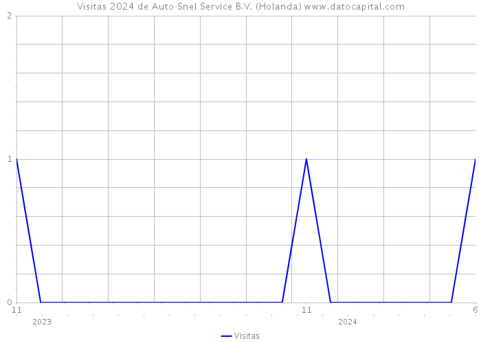 Visitas 2024 de Auto Snel Service B.V. (Holanda) 