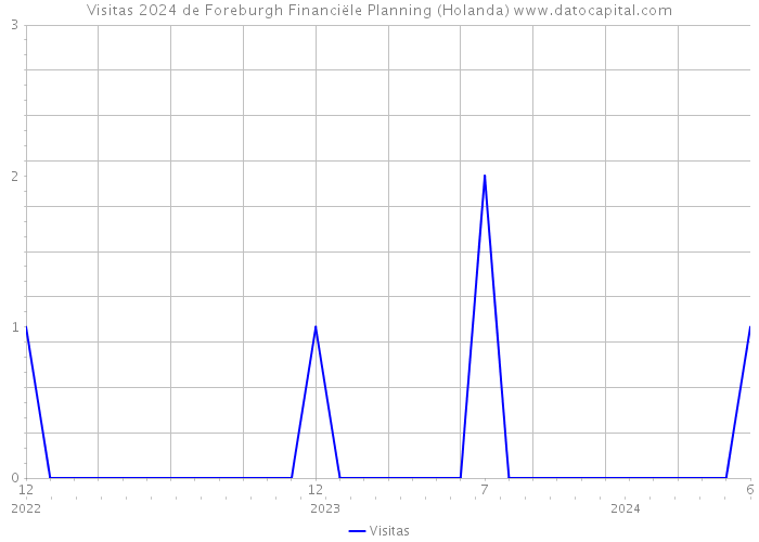 Visitas 2024 de Foreburgh Financiële Planning (Holanda) 
