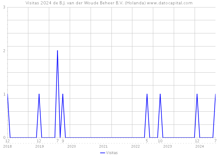 Visitas 2024 de B.J. van der Woude Beheer B.V. (Holanda) 