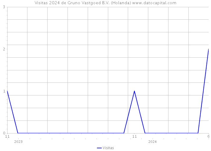 Visitas 2024 de Gruno Vastgoed B.V. (Holanda) 