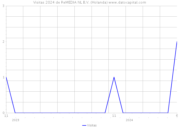 Visitas 2024 de ReMEDIA NL B.V. (Holanda) 