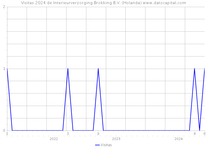 Visitas 2024 de Interieurverzorging Brokking B.V. (Holanda) 