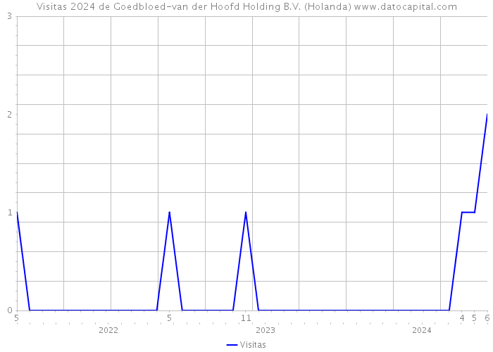 Visitas 2024 de Goedbloed-van der Hoofd Holding B.V. (Holanda) 