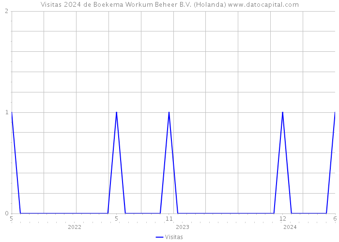 Visitas 2024 de Boekema Workum Beheer B.V. (Holanda) 
