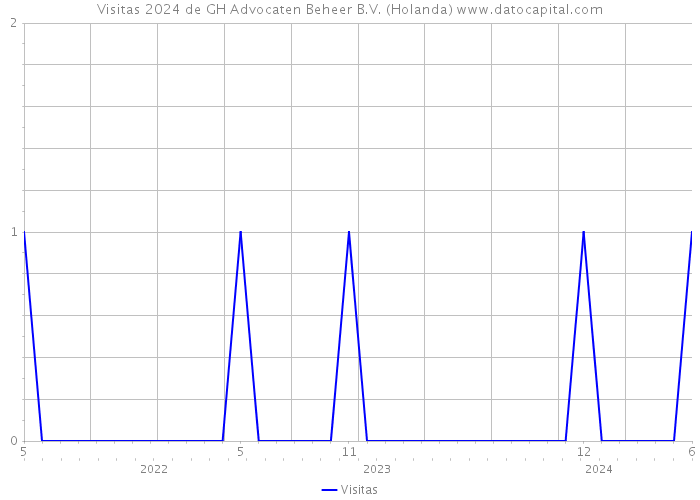 Visitas 2024 de GH Advocaten Beheer B.V. (Holanda) 