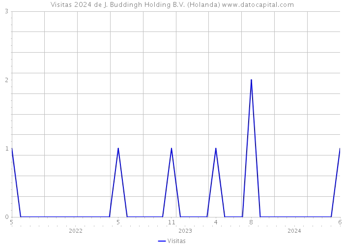 Visitas 2024 de J. Buddingh Holding B.V. (Holanda) 