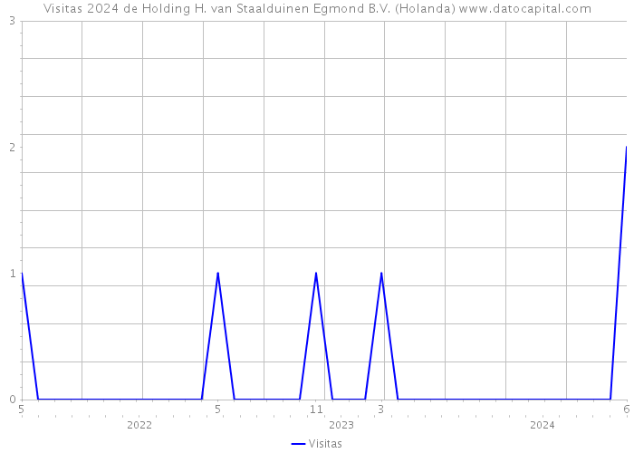 Visitas 2024 de Holding H. van Staalduinen Egmond B.V. (Holanda) 