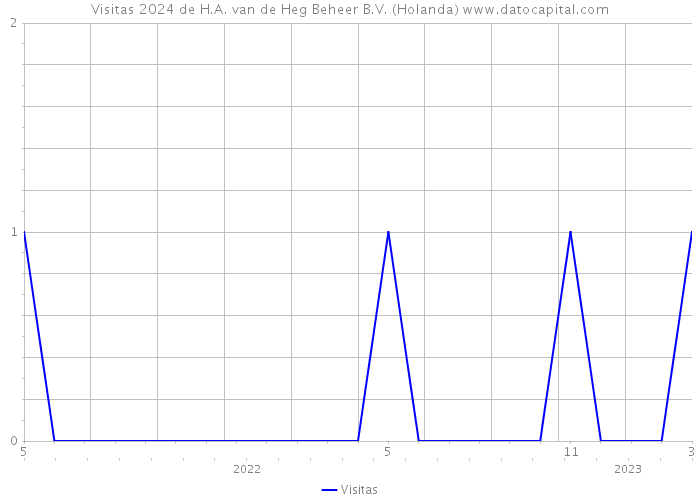 Visitas 2024 de H.A. van de Heg Beheer B.V. (Holanda) 