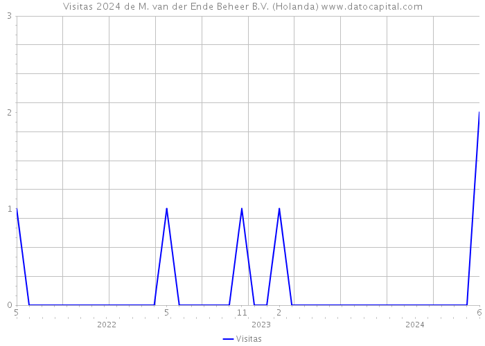 Visitas 2024 de M. van der Ende Beheer B.V. (Holanda) 