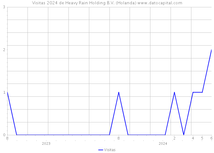 Visitas 2024 de Heavy Rain Holding B.V. (Holanda) 